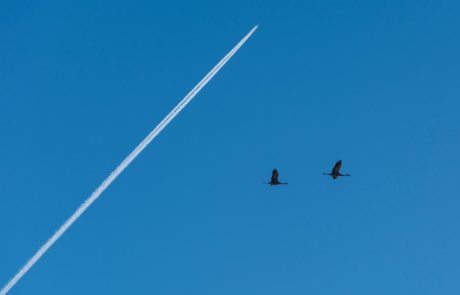 מבצע ייחודי בשמיים: הסוף לאזעקות השווא?